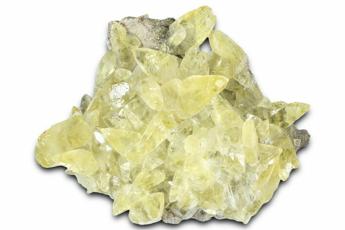 Gleamingg Yellow Calcite Crystals on Matrix - Missouri #363377